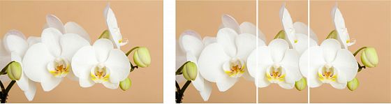 Стол "Грация" (1,45) раздвижной (опоры массив) - Белая орхидея (К-29)
